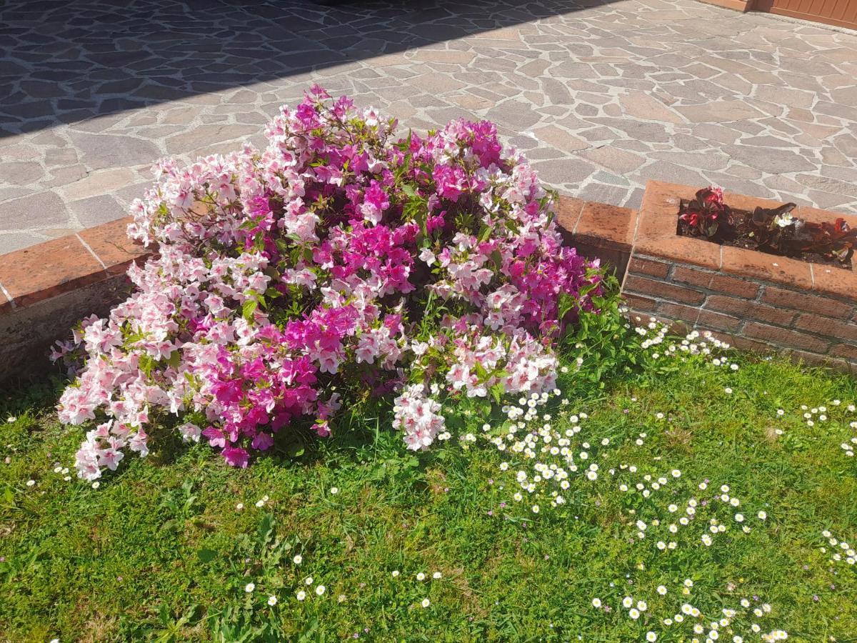 Casa Camelia Villa Capannori Dış mekan fotoğraf